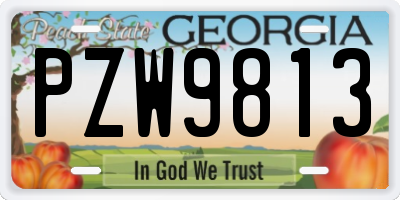 GA license plate PZW9813