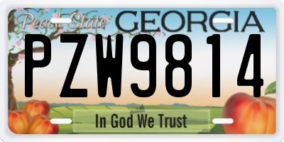 GA license plate PZW9814