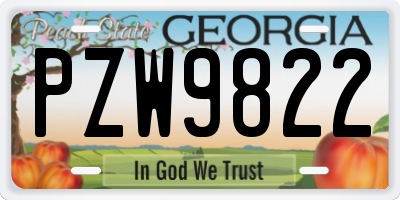 GA license plate PZW9822