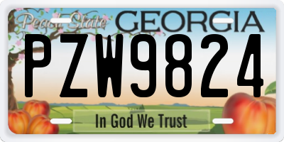 GA license plate PZW9824
