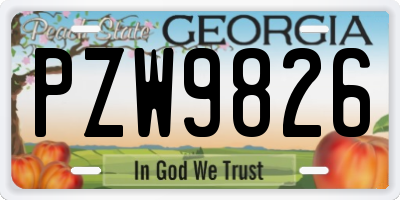 GA license plate PZW9826