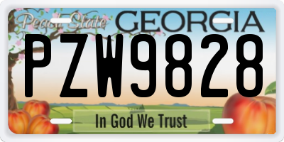 GA license plate PZW9828