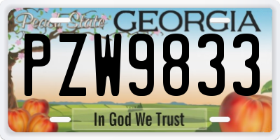 GA license plate PZW9833