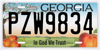 GA license plate PZW9834