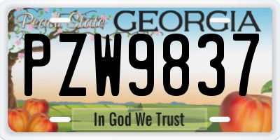 GA license plate PZW9837