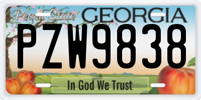 GA license plate PZW9838