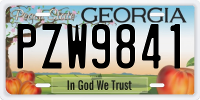 GA license plate PZW9841