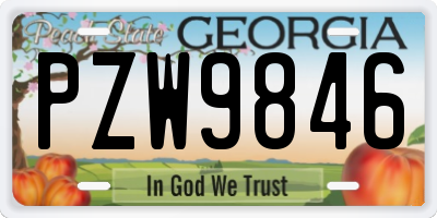 GA license plate PZW9846