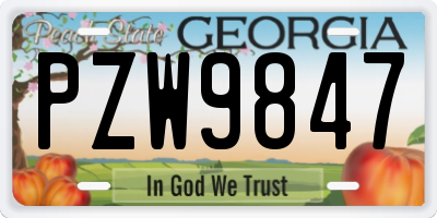 GA license plate PZW9847