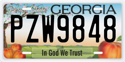 GA license plate PZW9848