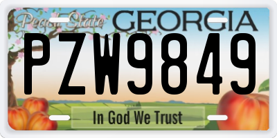 GA license plate PZW9849