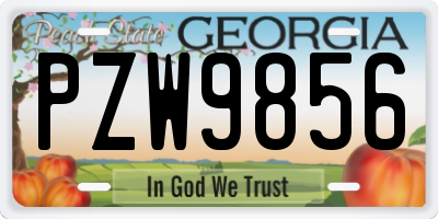 GA license plate PZW9856