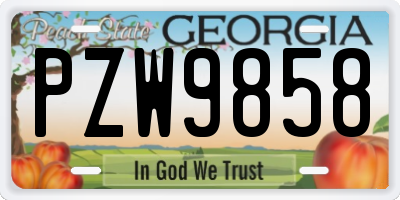 GA license plate PZW9858