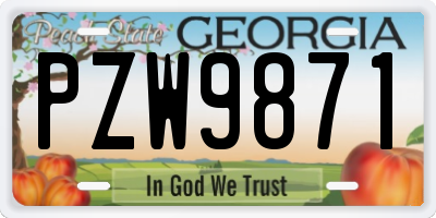 GA license plate PZW9871