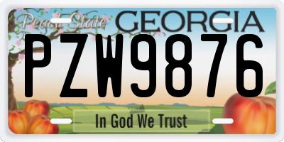 GA license plate PZW9876