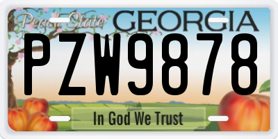 GA license plate PZW9878