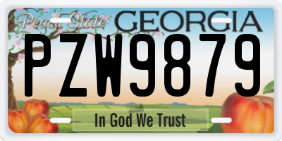 GA license plate PZW9879