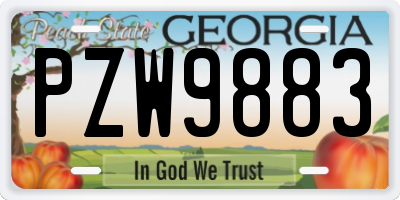 GA license plate PZW9883