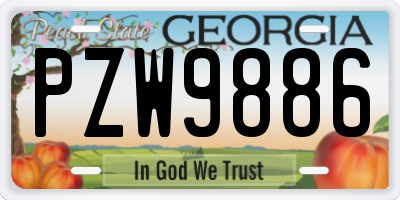 GA license plate PZW9886