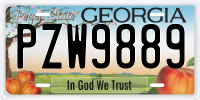 GA license plate PZW9889