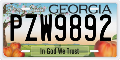 GA license plate PZW9892