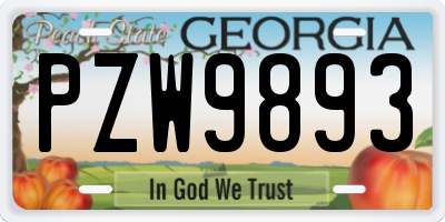 GA license plate PZW9893
