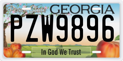 GA license plate PZW9896