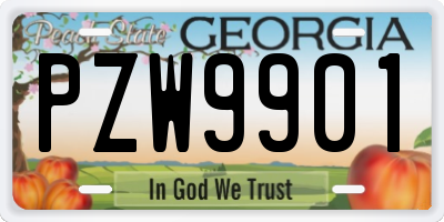 GA license plate PZW9901