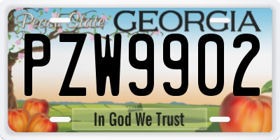 GA license plate PZW9902