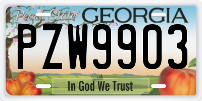 GA license plate PZW9903
