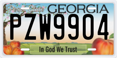 GA license plate PZW9904