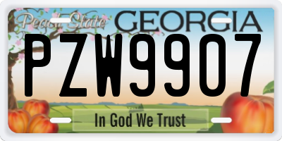 GA license plate PZW9907