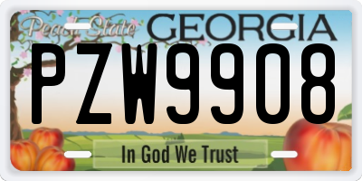 GA license plate PZW9908