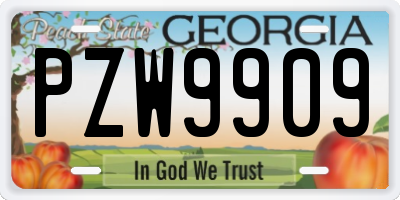 GA license plate PZW9909