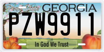 GA license plate PZW9911