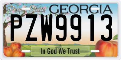 GA license plate PZW9913