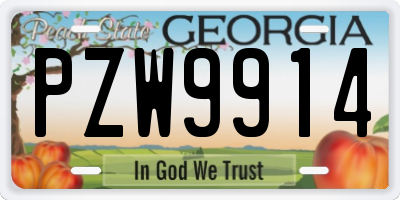 GA license plate PZW9914