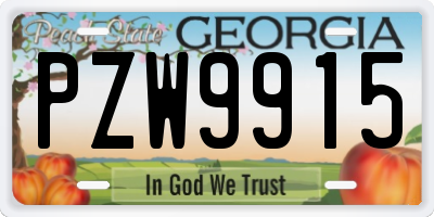 GA license plate PZW9915