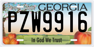GA license plate PZW9916