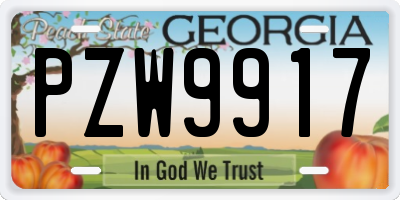 GA license plate PZW9917