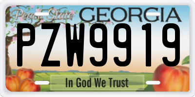 GA license plate PZW9919