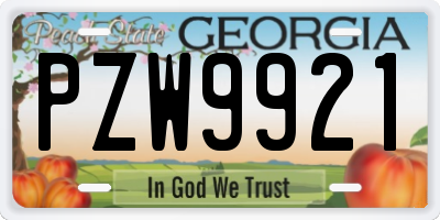 GA license plate PZW9921