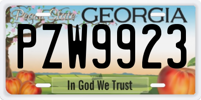 GA license plate PZW9923