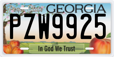 GA license plate PZW9925