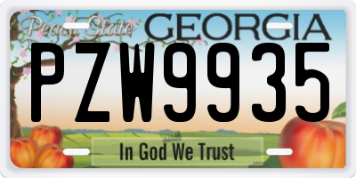 GA license plate PZW9935