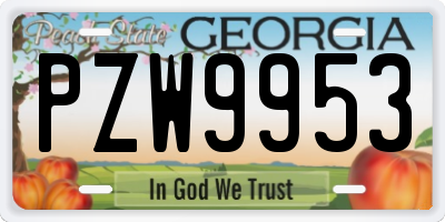GA license plate PZW9953