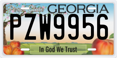 GA license plate PZW9956