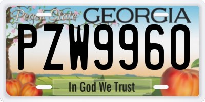 GA license plate PZW9960