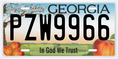 GA license plate PZW9966