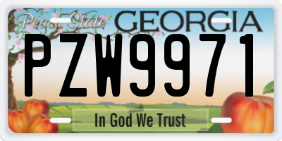 GA license plate PZW9971